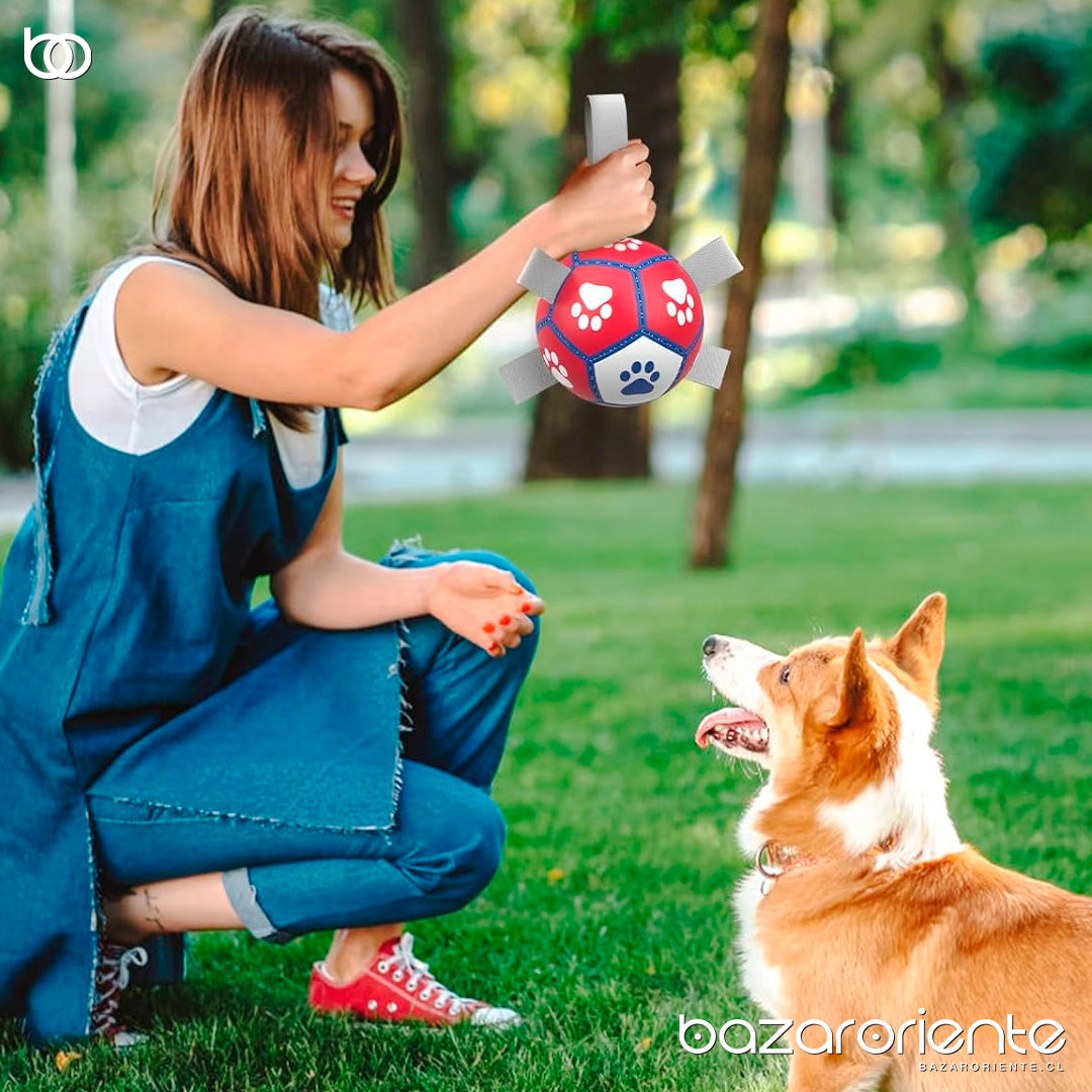 Juego de Pelota Interactiva con Correas de Entrenamiento para Perros – Diversión y Adiestramiento Eficaz - mascotas - chile - bazar oriente