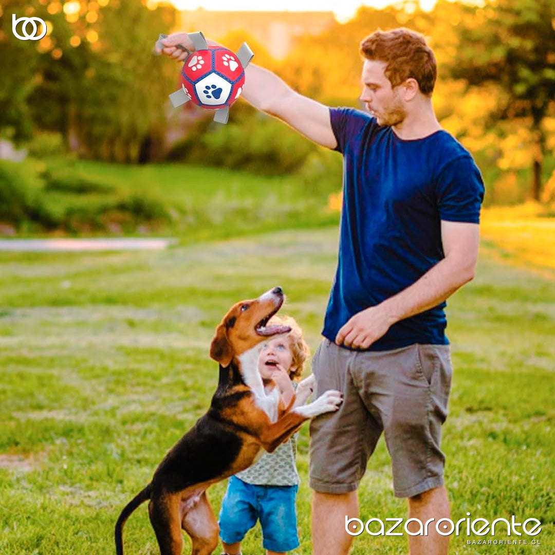 Juego de Pelota Interactiva con Correas de Entrenamiento para Perros – Diversión y Adiestramiento Eficaz - mascotas - chile - bazar oriente